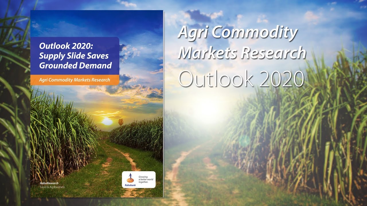 Agri Commodities Outlook 2020: Supply Slide Saves Grounded Demand