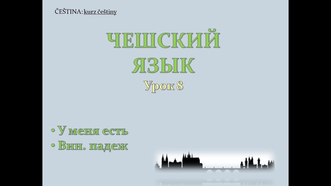 Урок чешского 8: У меня есть, винительный падеж