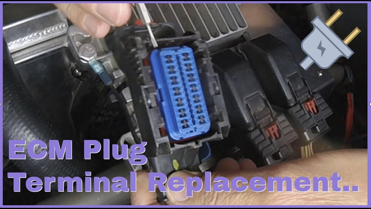 ECM Plug Terminal Replacement