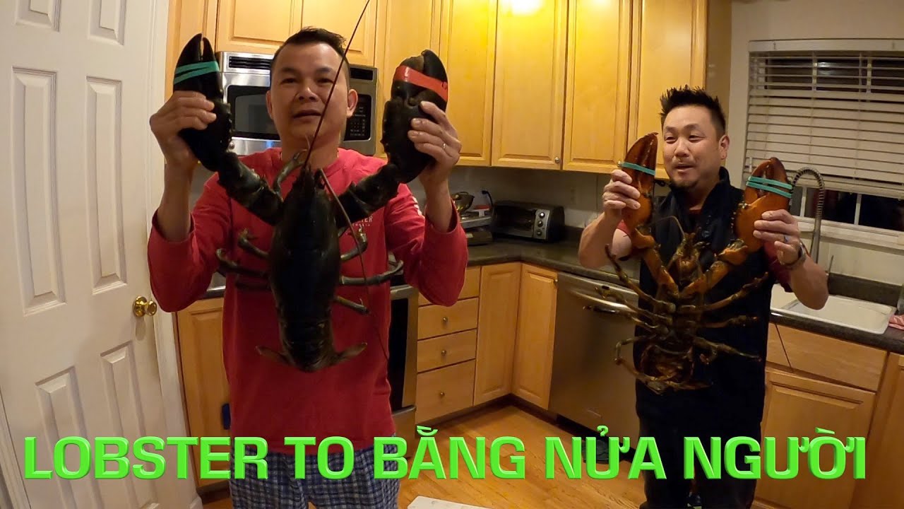 Chuyện Bên Lề 104: A Dũng Mua 3 Con Lobster Bự Bằng Nửa Người Đãi Anh Em Coi Bầu Cử Ủng Hộ Trump