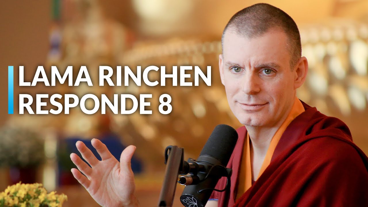 El Nido del Meditador | Sesión de Preguntas y Respuestas (8)