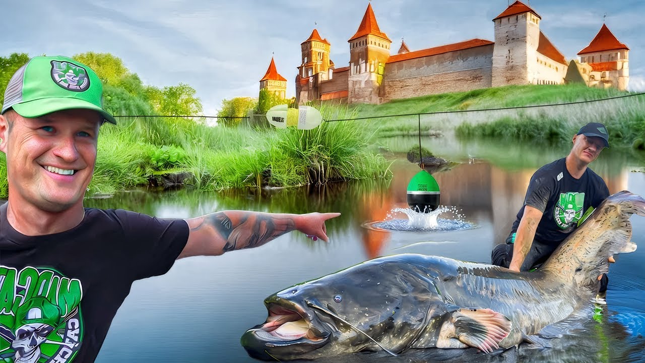 SUMY NA PODWIĄZKĘ! ŁOWIMY REKORDOWEGO SUMA POD RUINAMI ZAMKU!