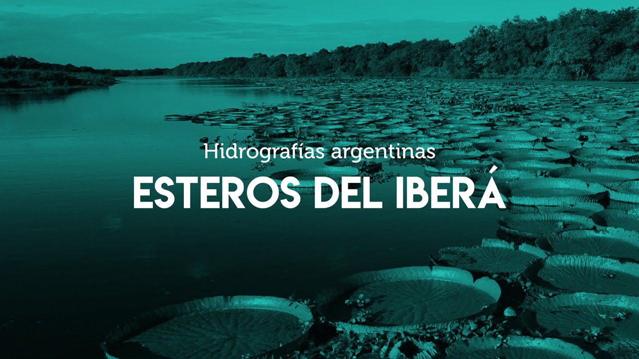 Hidrografías de Argentina: Esteros del Iberá