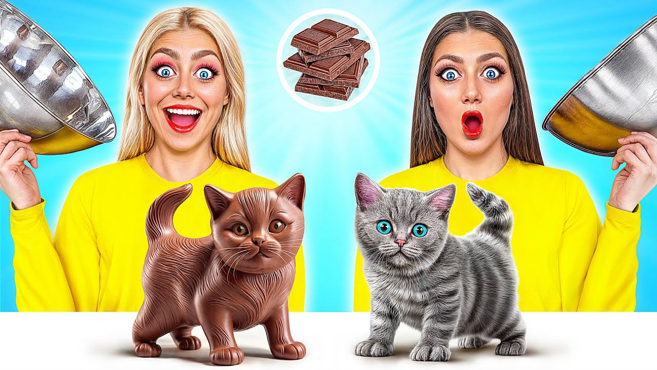 Real Food vs Chocolate Food Challenge by Funny DO Challenge