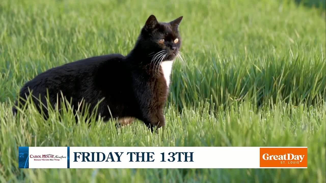 Friday the 13th