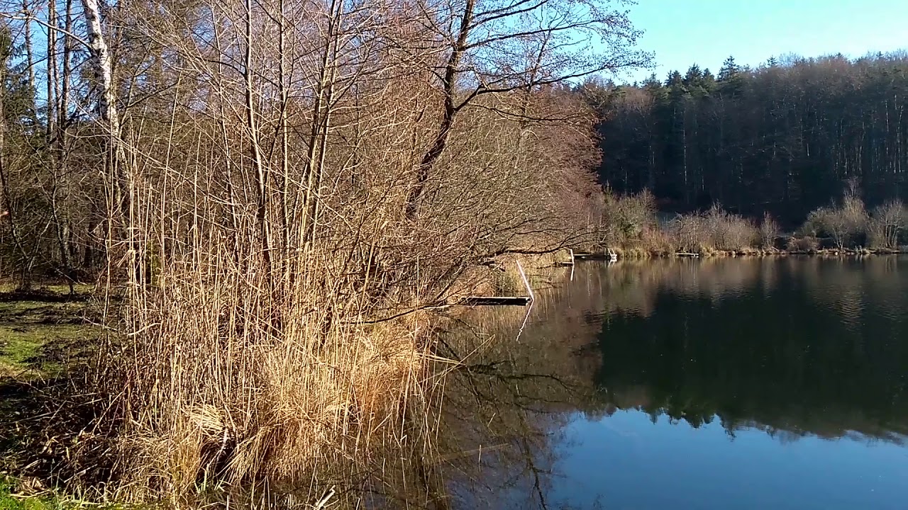 Höllerersee - Oberösterreich(2)
