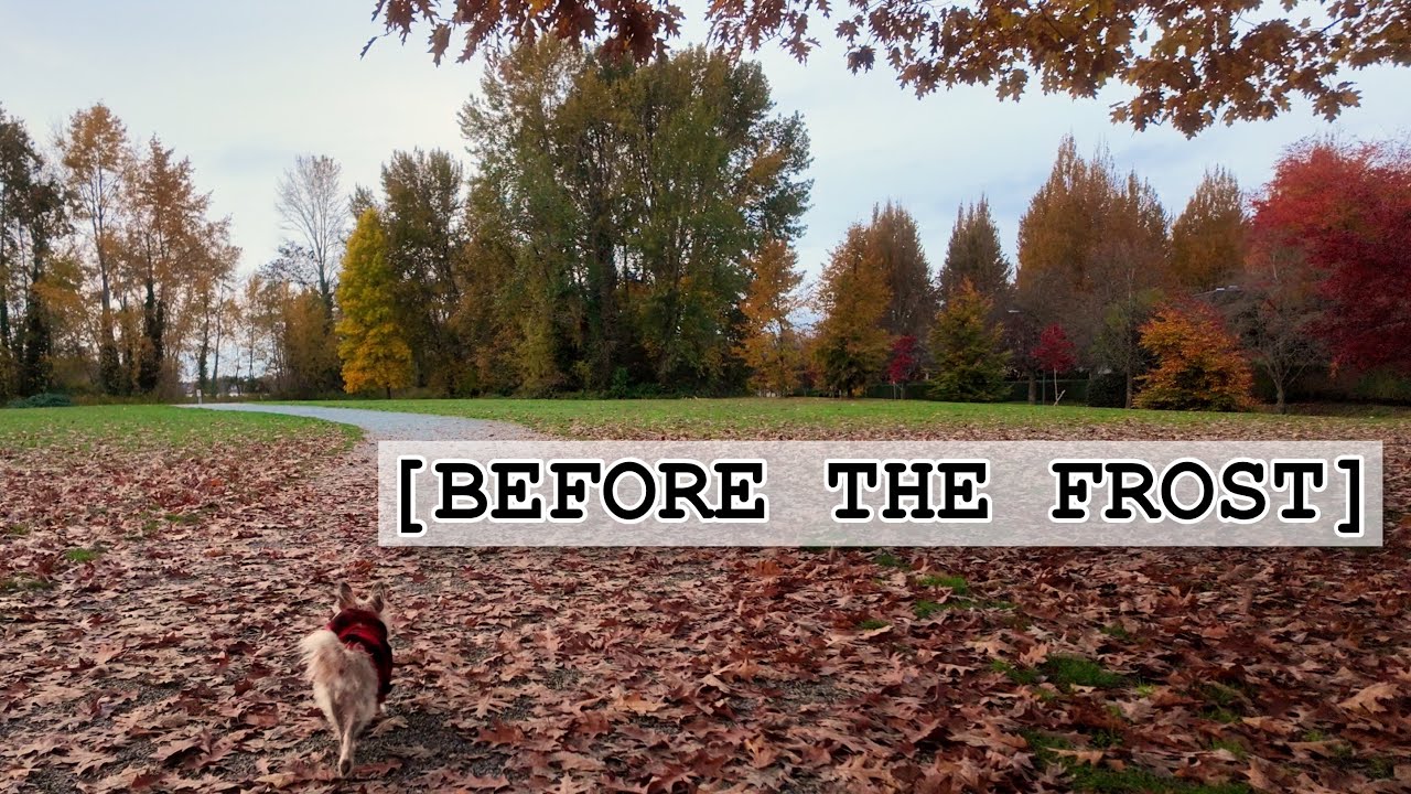 BEFORE THE FROST // A PocketWook Cinematic — 4K Walk — 001