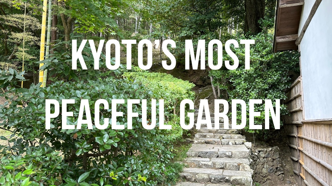 Inside Kyoto's Timeless Moss Temple | Why Saihoji is Japan's Hidden Gem