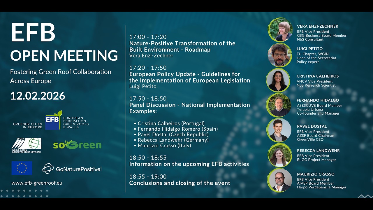 2026-02-12 - EFB Open Meeting -  European Update