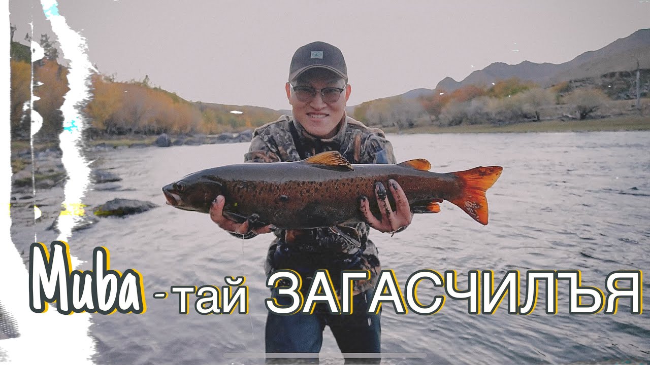 🎣ТУЛ🎣 БАРЬЖ ЧАДСАН УУ? [Мөбатай Загасчлал] [Fishing in Mongolia, hucho taimen, siberian lenok]