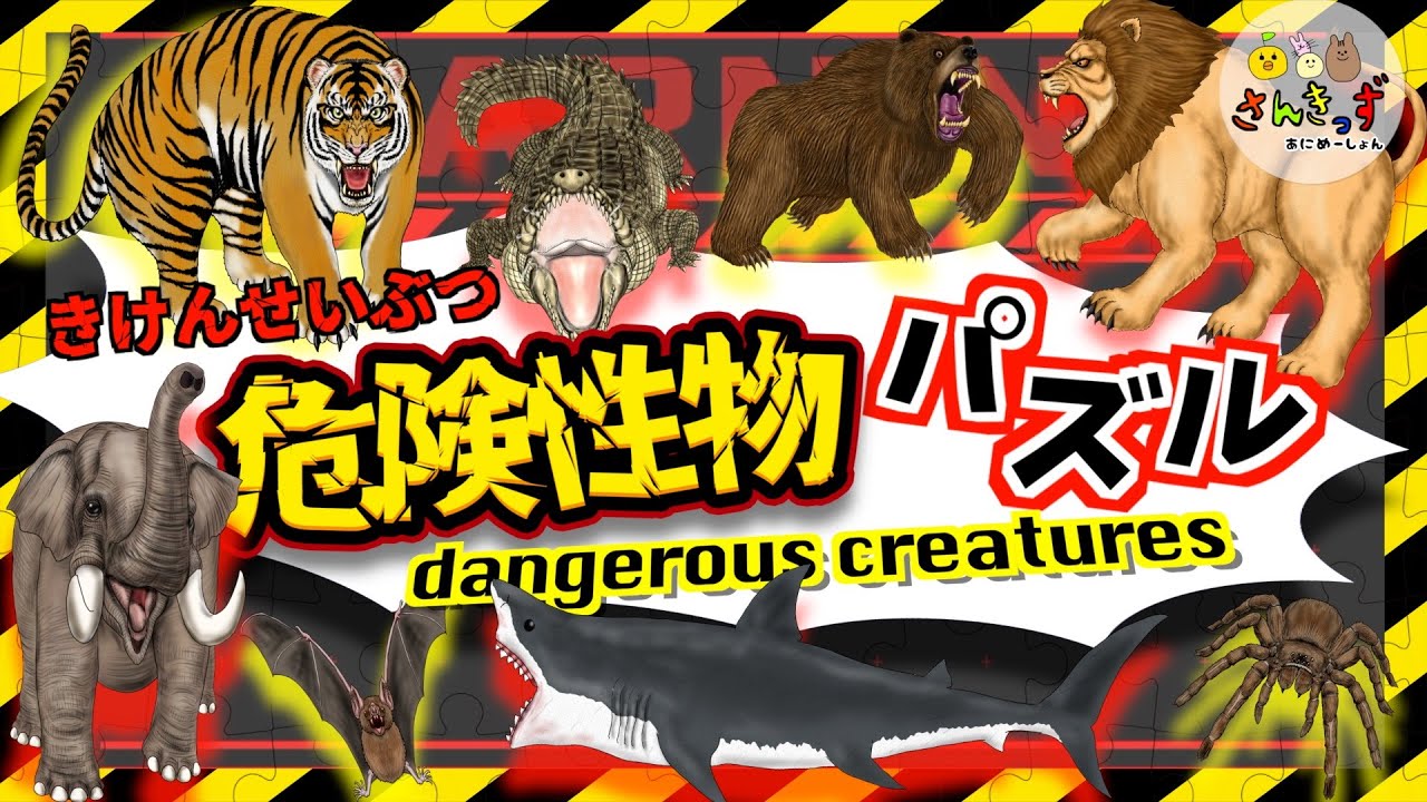 【危険生物アニメ】危険生物パズルに挑戦しよう！【きけんせいぶつ】海の危険生物や山の危険生物が大集合！ライオン タランチュラ ワニ