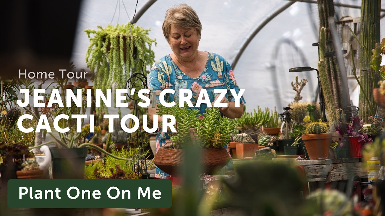 Crazy. Cacti. Chaos: SUCCULENT & CACTI TOUR with Jeanine — Ep. 421