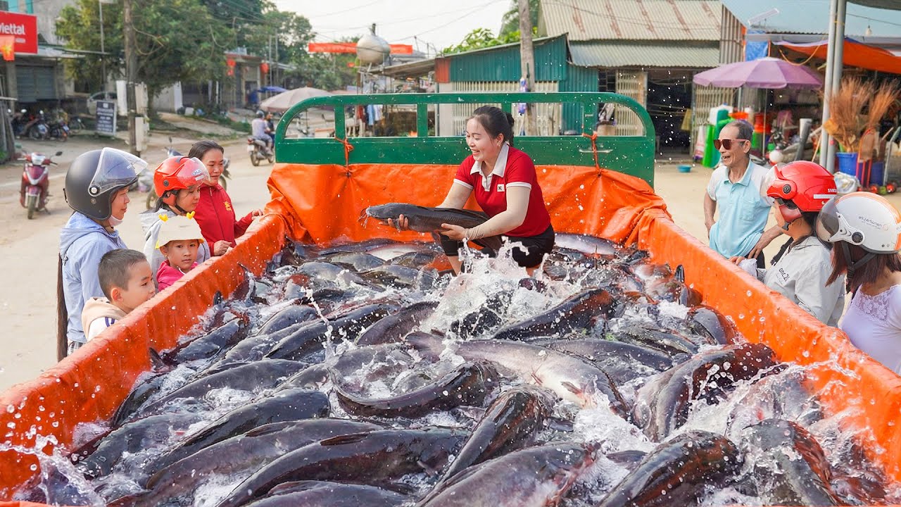 Use 3-Wheel Truck To Buy Many Big Catfish (150kg) from Villager and Goes To Country Market Sell