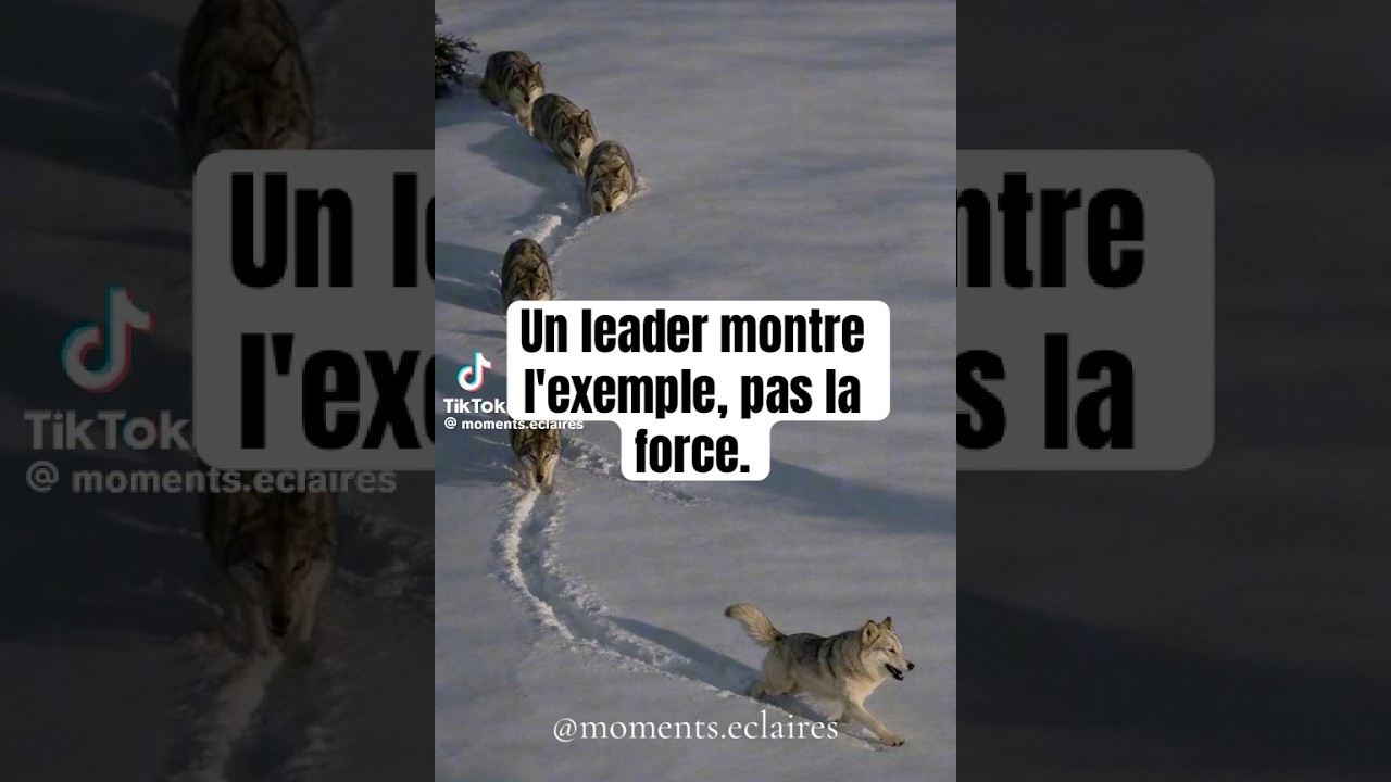 Un leader montre l'exemple, pas la force. 