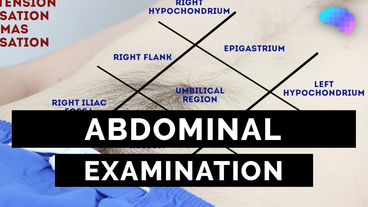 Абдоминальное исследование — руководство OSCE (последнее) | UKMLA | CPSA | PLAB 2