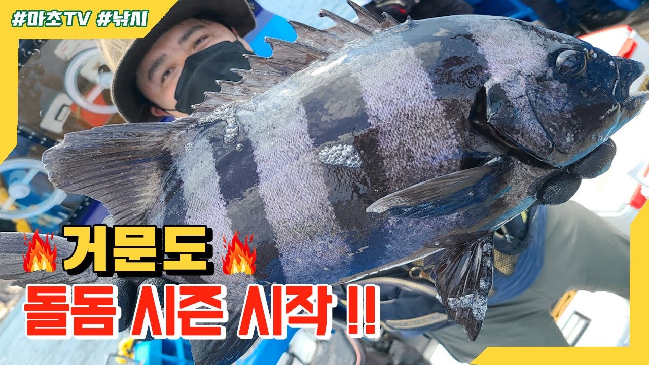 🎵거문도 돌돔시즌 시작🎵 딱 그자리만 들어가면 폭풍 입질🐟ㅣ돌돔낚시 ㅣFishing / イシダイ / striped beakperch / rock bream