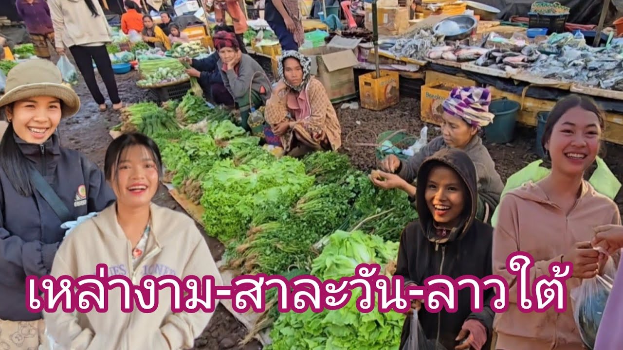 #automobile#เที่ยวลาวใต้ ตลาดหมู่บ้าน ตลาดเช้าเหล่างาม#แขวงสาละวัน #ผักสวนครัว#อาหารตามฤดูกาล#สาวลาว