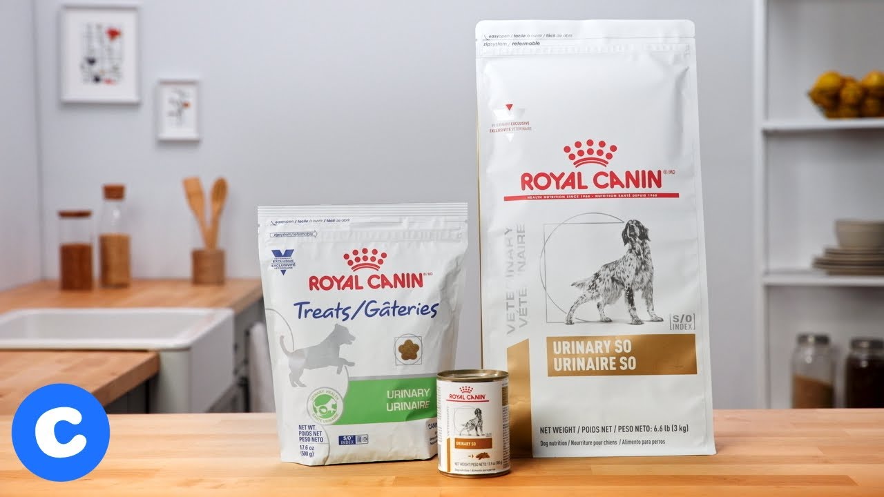 Royal Canin Urinary SO Dog Food | Chewy