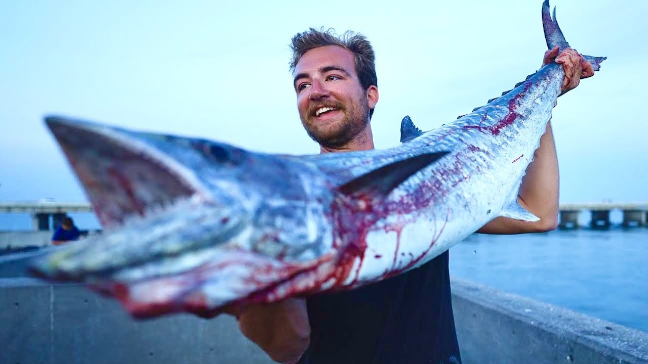 MASSIVE Kingfish (Catch, Clean, Cook)