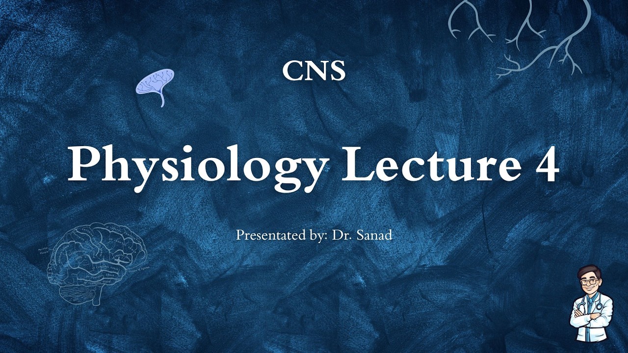 Physiology CNS Lec 4 | Dr SANAD