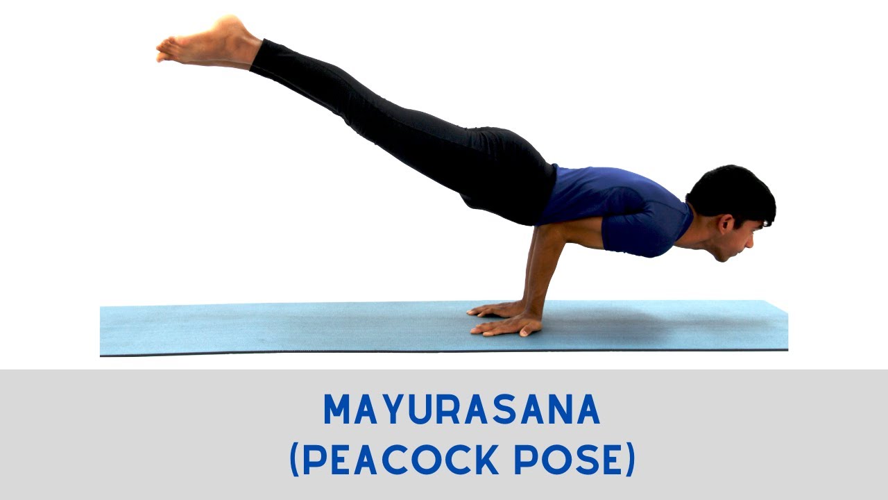 Mayurasana (Peacock Pose)