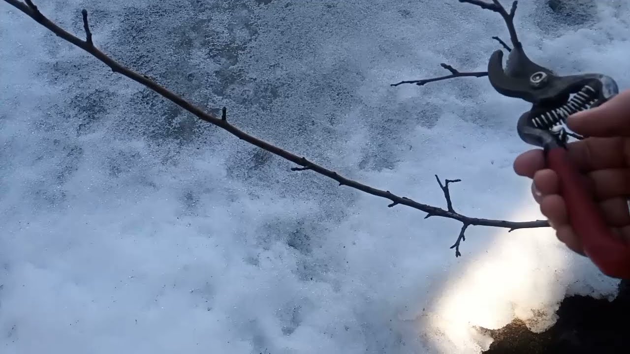Сонечко ☀️ блиснуло і за роботу! Сад кличе #українськесело