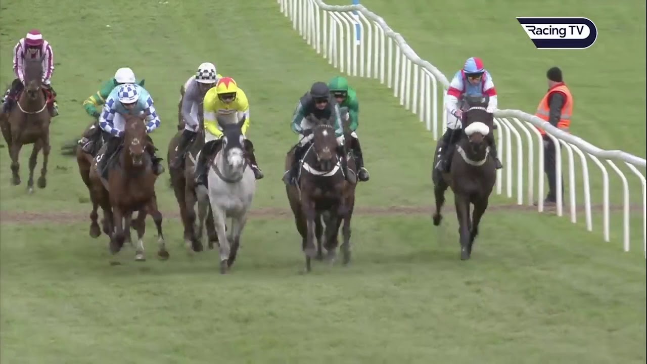 Cheltenham Festival 2019 Day 2 - All Finishes