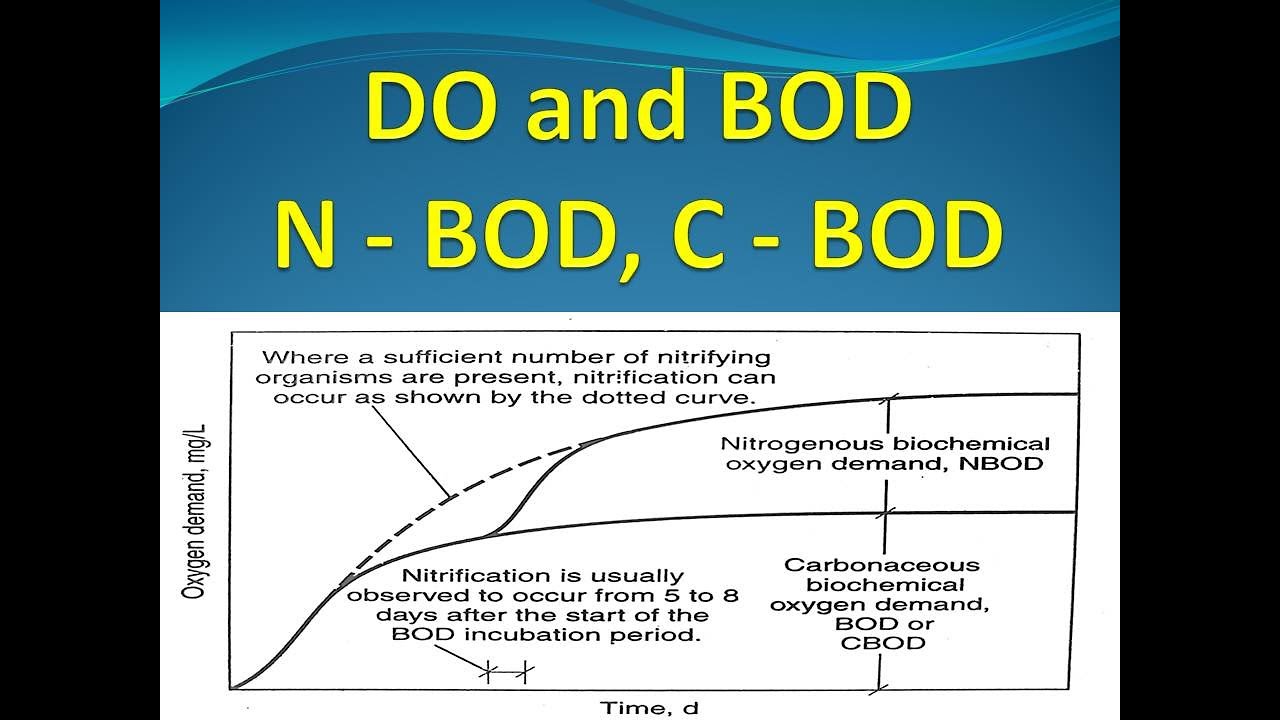 Dissolved Oxygen(DO) and Biochemical Oxygen Demand(BOD) | DO | BOD