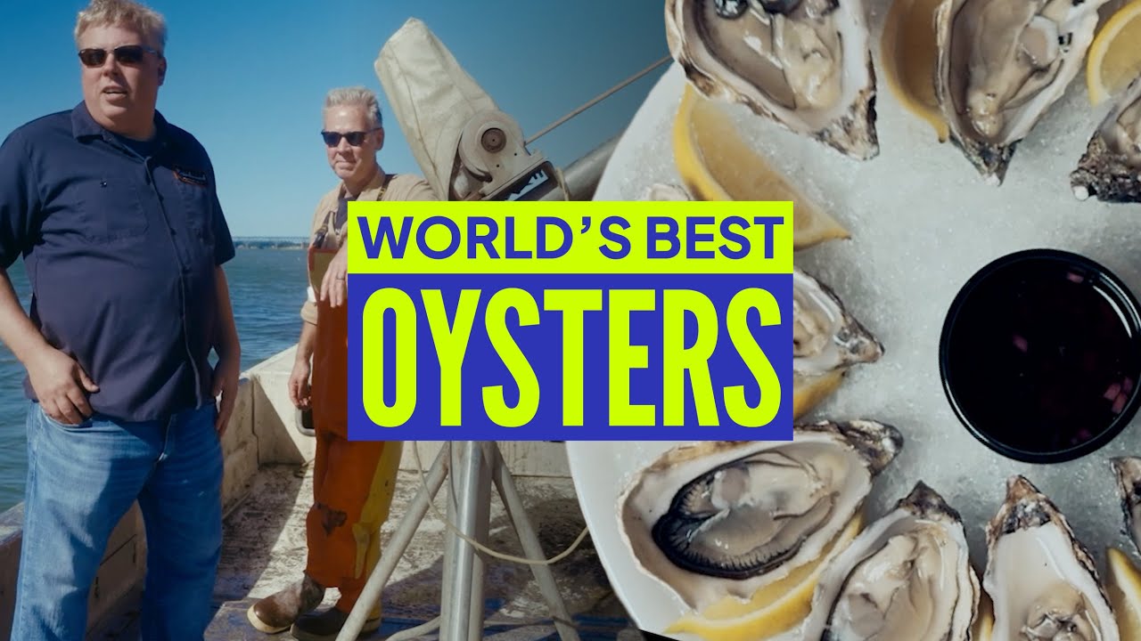 The Oyster Kings of Virginia | Original Corners