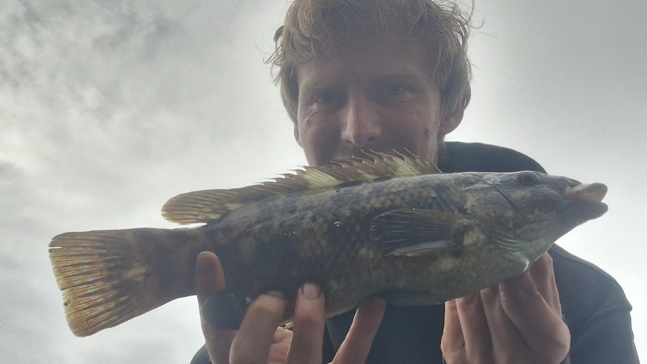 back on the rocks on a different mark didn't go to plan but managed a couple of fish!!