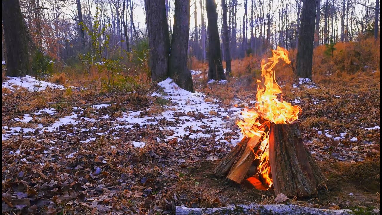 HD Campfire Snowy Forest Scene Near Sunset, Ambient Fireplace and Nature Sounds, No AI, Real Looped