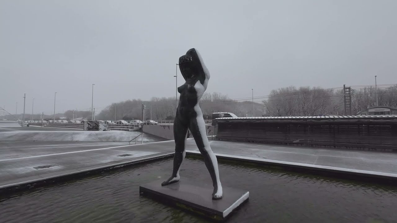 Betsy ondergesneeuwd, Bredene - België (8/3/2023)