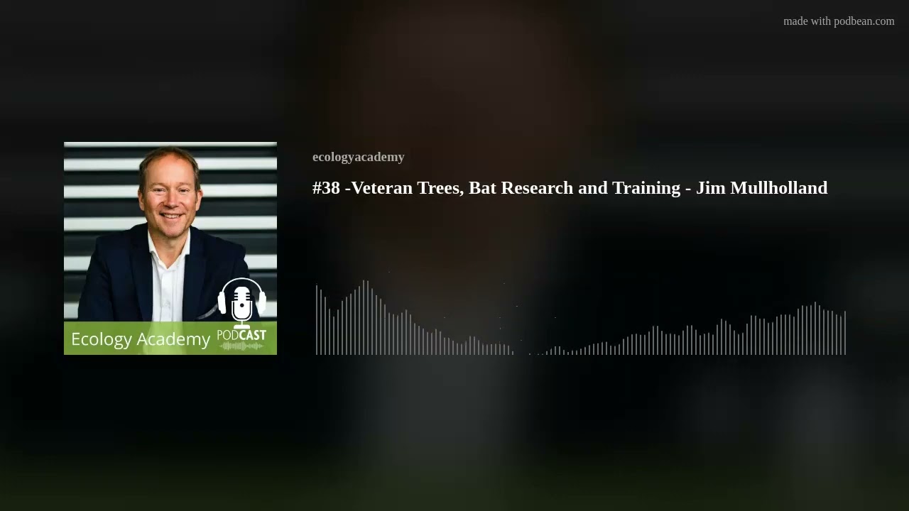 #38 -Veteran Trees, Bat Research and Training - Jim Mullholland