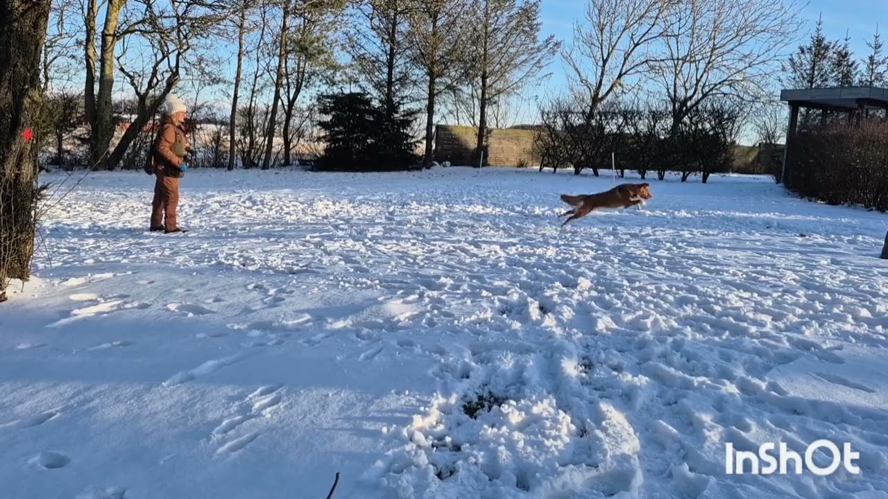 13. februar 2026
