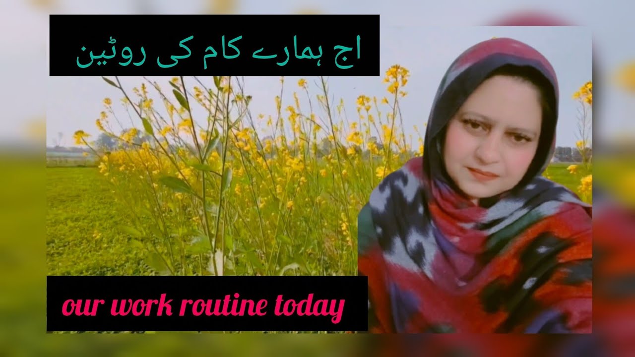 آج ہمارے کام کی روٹین 🥰our work routine today 