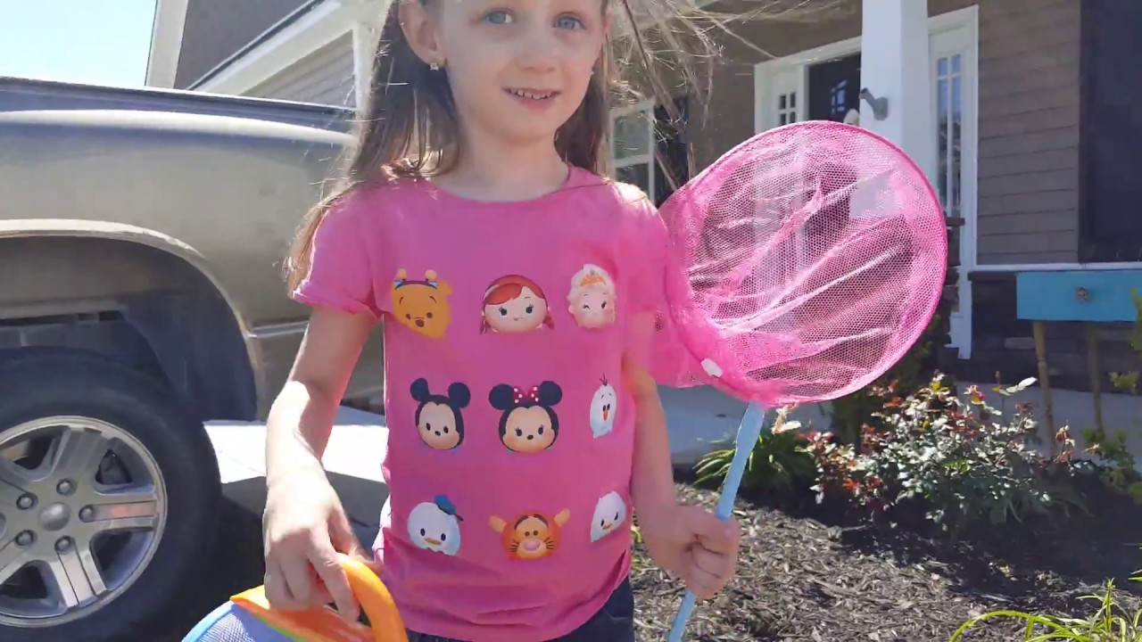 Jewel catching Butterflies on a beautiful Spring Day
