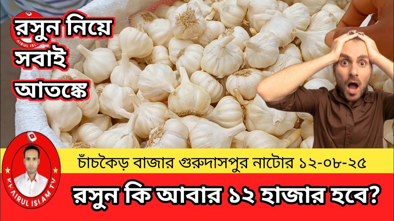 আজকের রসুনের দাম & তথ্য | ১২ অগাস্ট  ২০২৫ | চাঁচকৈড় বাজার, গুরুদাসপুর | দীর্ঘ ভিডিও