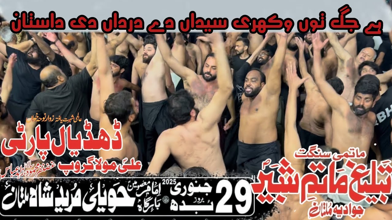 Hai jag to wakhri syedan dy dardan di dastan | Dhudhiyal Party Noha 2025 | Haweli Mureed Shah Multan