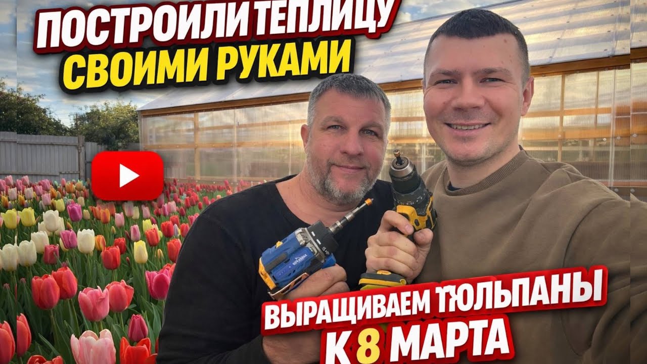 УМНАЯ ТЕПЛИЦА ДЛЯ ТЮЛЬПАНОВ СВОИМИ РУКАМИ | Как заработать на тюльпанах к 8 марта