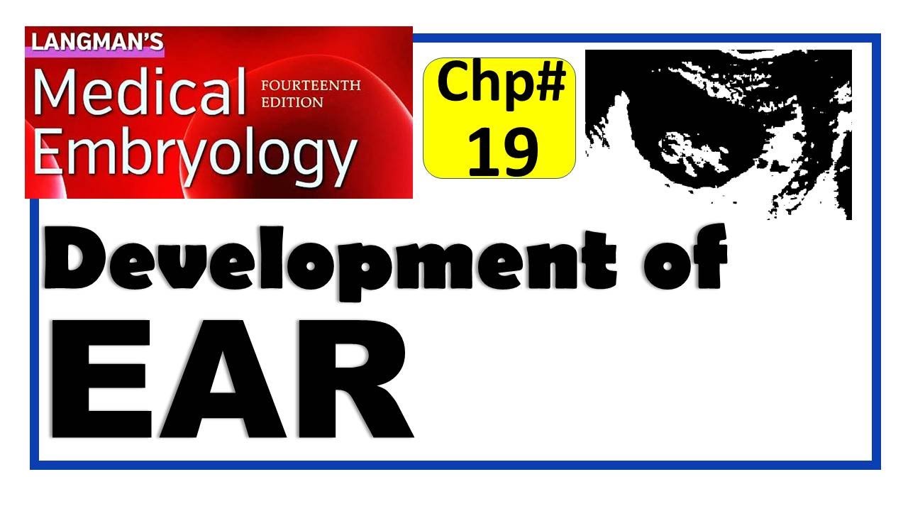 Langman Chapter#19 | Development of EAR | Embryology | Dr Asif Lectures