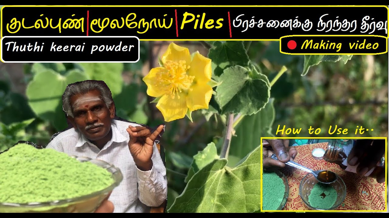துத்தி கீரை | குடல்புண்/மூலநோய்/Piles பிரச்சனைக்கு நிரந்தர தீர்வு | Thuthi keerai powder MakingVideo