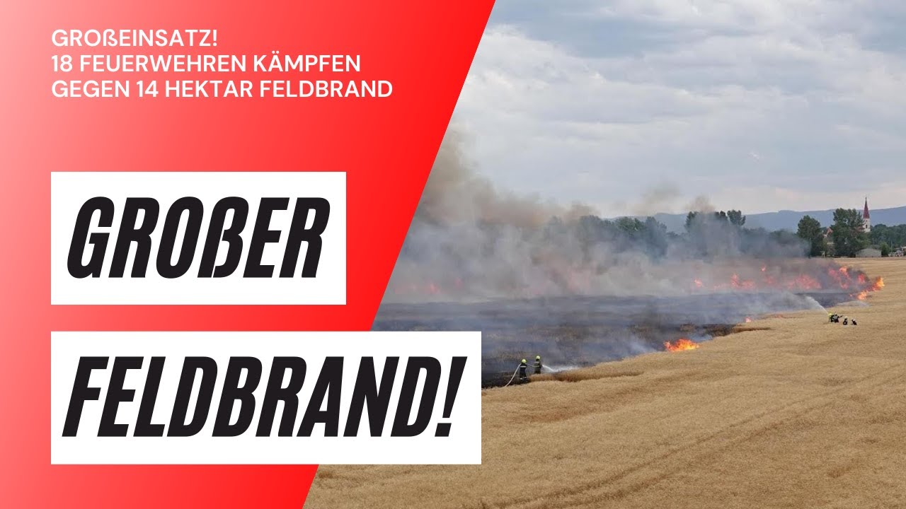 Gro&szlig;er Feldbrand! |Feuerwehreinsatz| 14 Hektar Getreidefeld in Flammen! Einsatzfahrt + Einsatzstelle