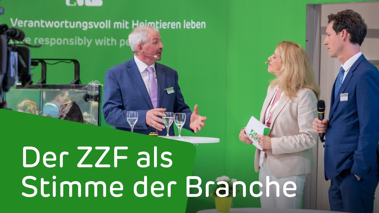 Der ZZF als Stimme der Branche