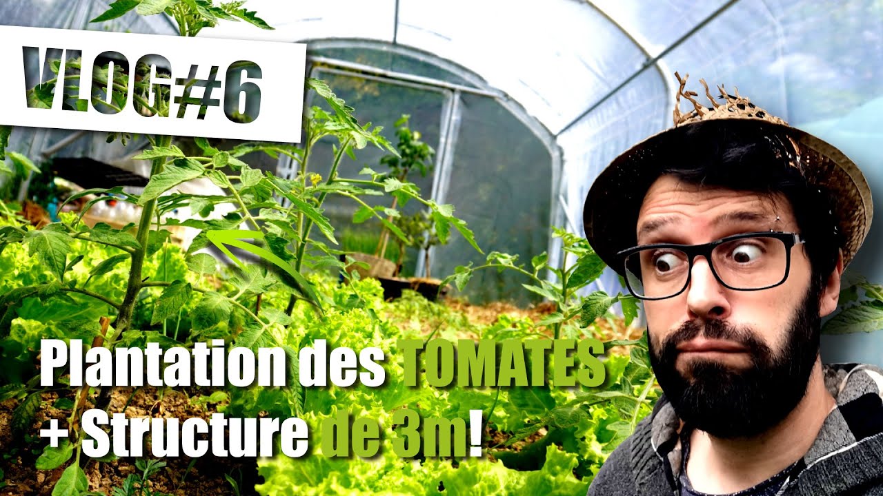 Plantation des TOMATES + structure de 3m de haut! /// VLOG potager 6 - #potager #jardin #tomate