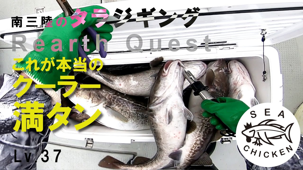 【スロージギング】南三陸でクーラー満タン（真鱈）
