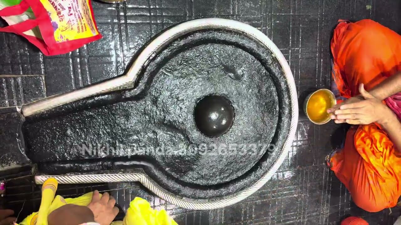 Sardari puja baba Baidyanath jyotirling darshan #deoghar #babadham