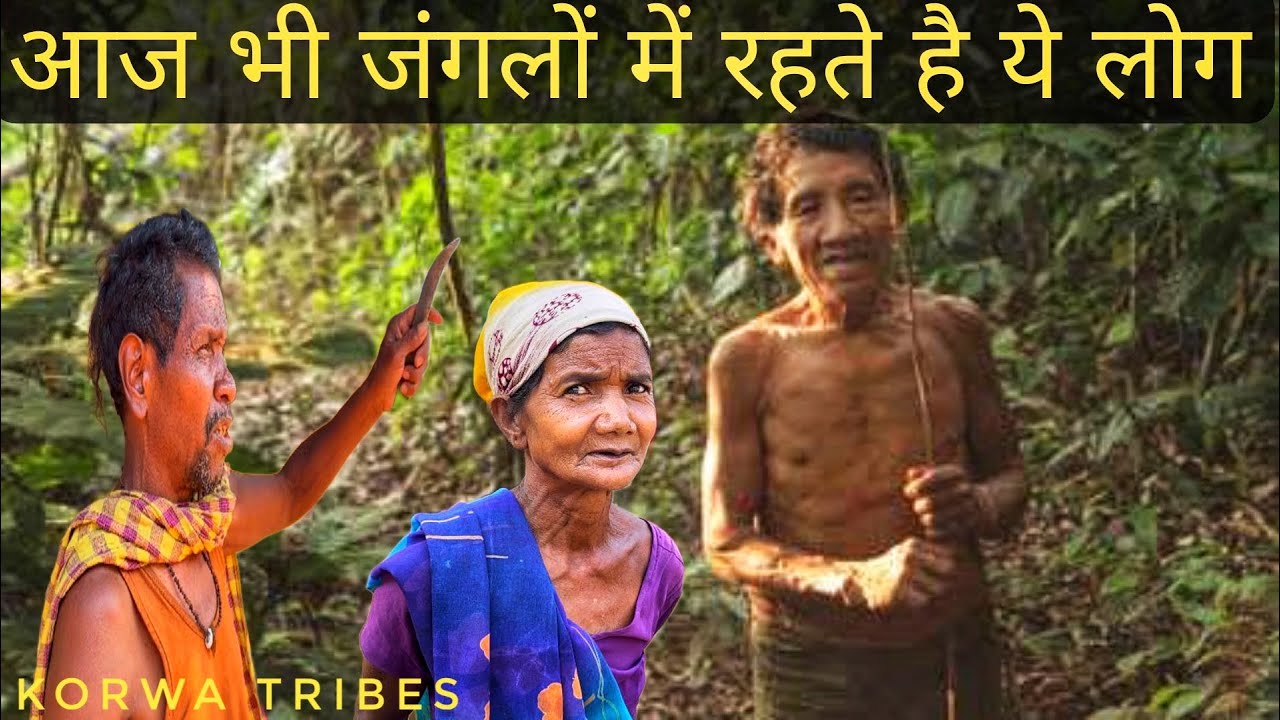 राष्ट्रपति के दत्तक पुत्र जंगल में क्यों रहते हैं ।Chhattisgarh tribes