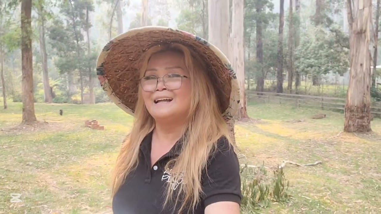 Maraming kabahayan ang apektado sa malawakang 'Bush Fire' dito sa Australia 