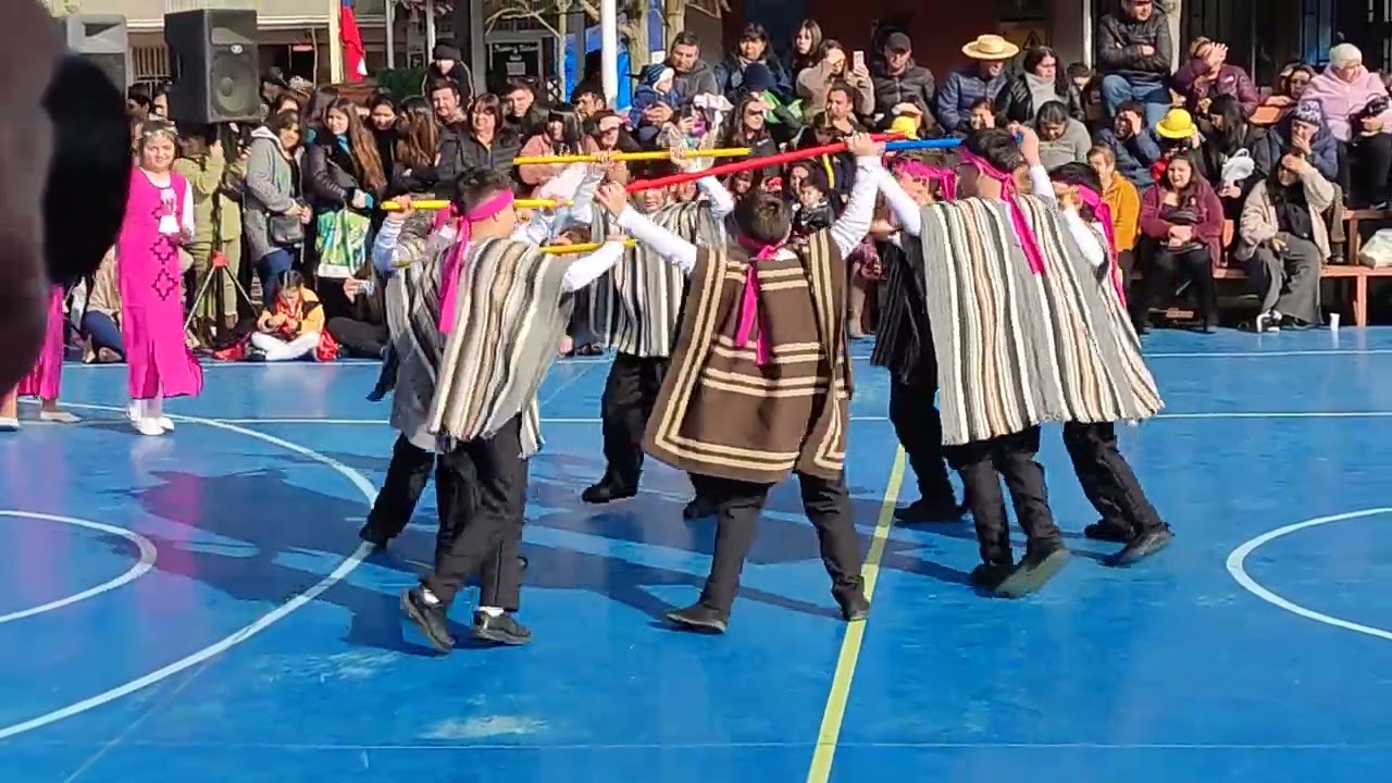 baile Rodrigo 2023 Palin mapuche