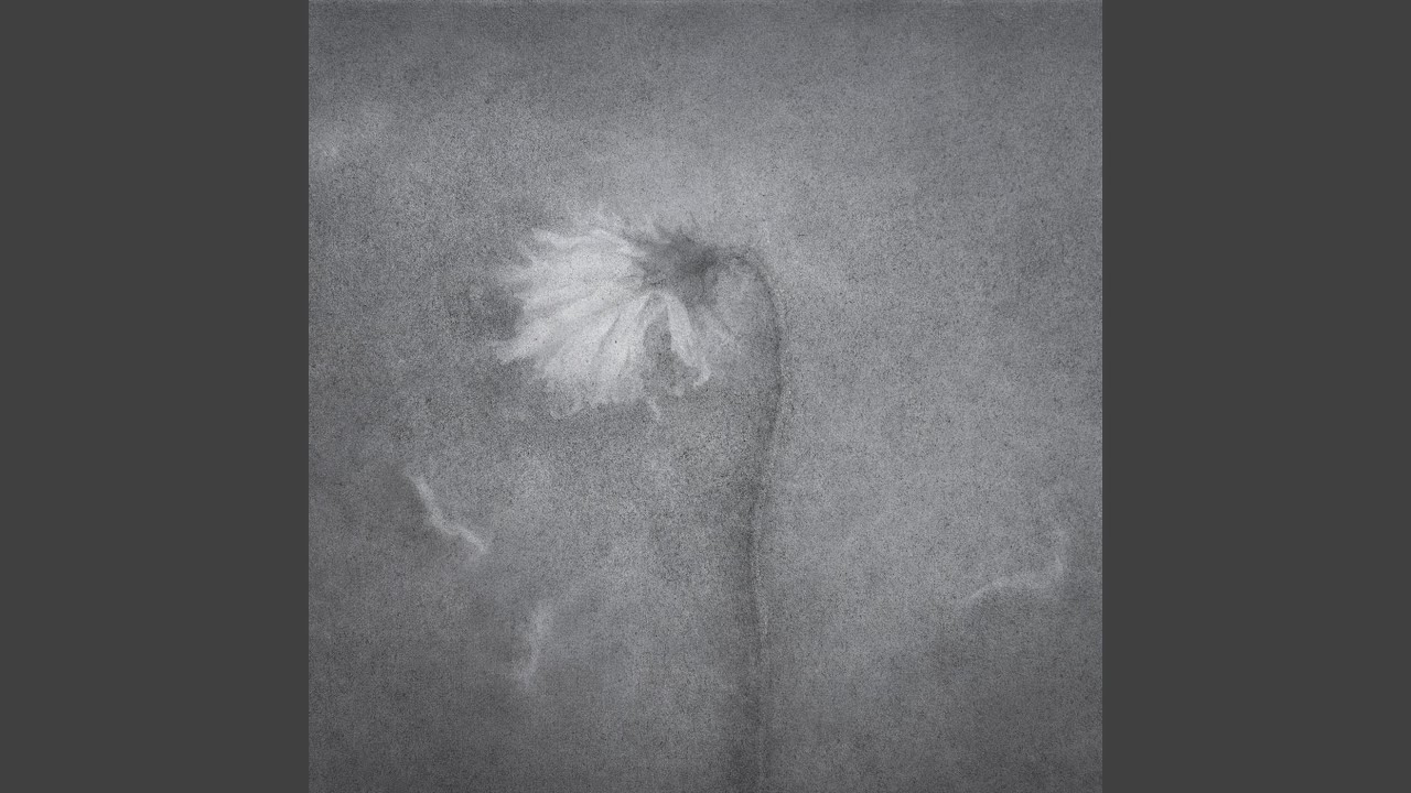 Dying Away in the Deep Fall